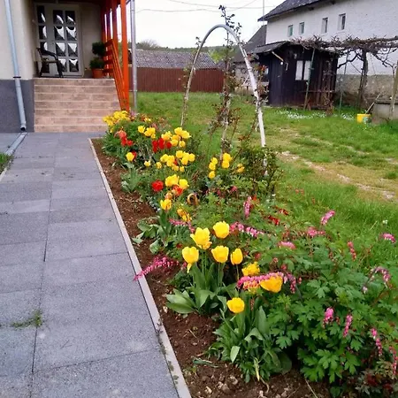 Kökörcsin Vendégház Tornaszentandrás